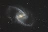 NGC 1365 - aufgenommen mit dem 20" Liebscher Cassegrain