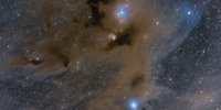 IC 2631